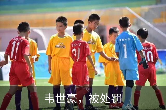 韦世豪，被处罚